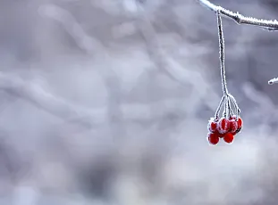 Winter in Benasque: adventure and fun in the heart of the Pyrenees