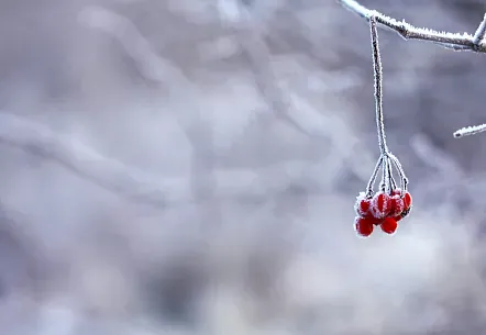 Winter in Benasque: adventure and fun in the heart of the Pyrenees