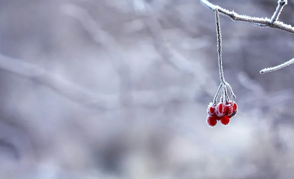 Winter in Benasque: adventure and fun in the heart of the Pyrenees