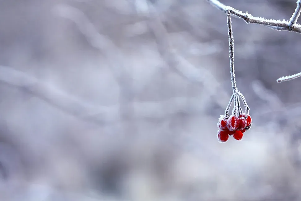 Winter in Benasque: adventure and fun in the heart of the Pyrenees